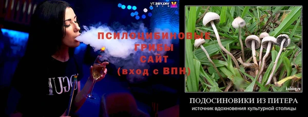 МДПВ Абдулино